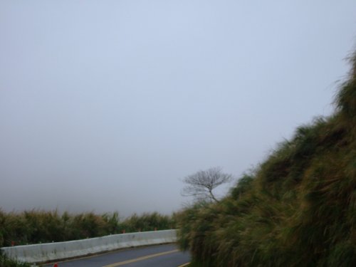 yangmingshan_070